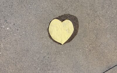 Anticipation, excitement about something that is coming up in the future. Expectation, belief that something will happen.