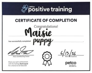 Maisie's Puppy Class Certificate from Petco